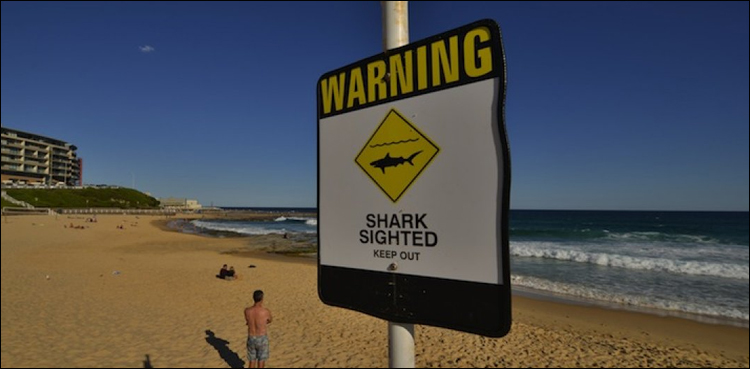 Shark Australia