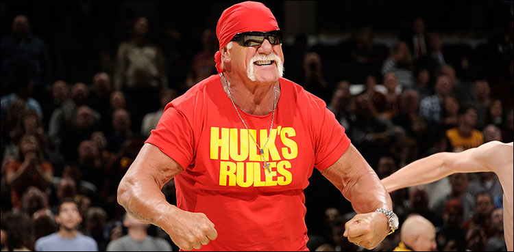 wwe hogan