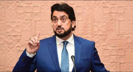 Kashmir dispute can be a nuclear flashpoint in South Asia: Shehryar Afridi