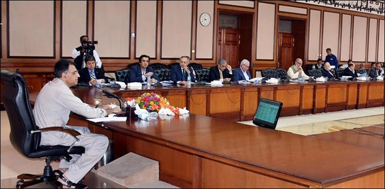 economic coordination committee ecc