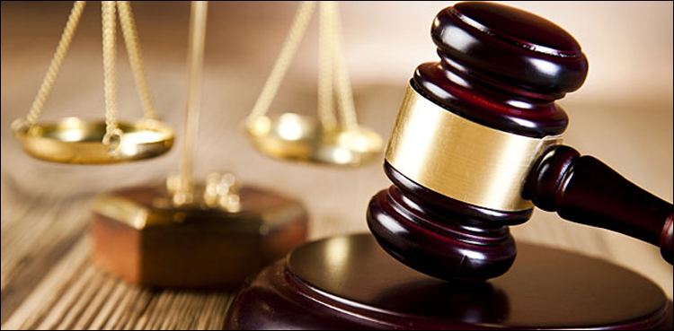 model courts, cases, justice