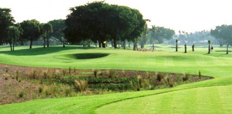 Royal Palm Club