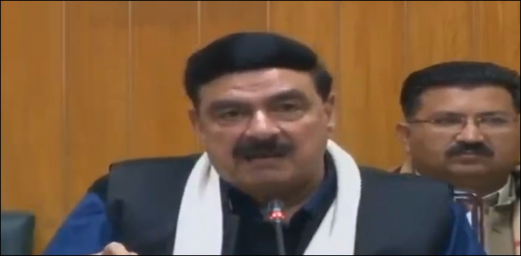 Rasheed, corrupt mafia, 2019
