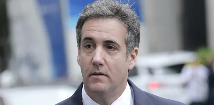 Cohen, donald trump, election campaign