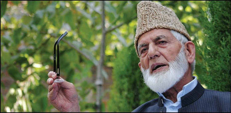 Syed Ali Gilani, Kashmir