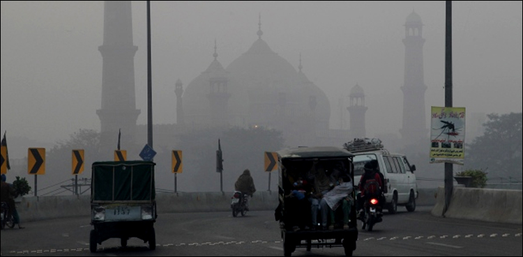 dense fog, visibility