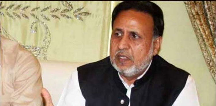 Punjab Local Govt Act Draft