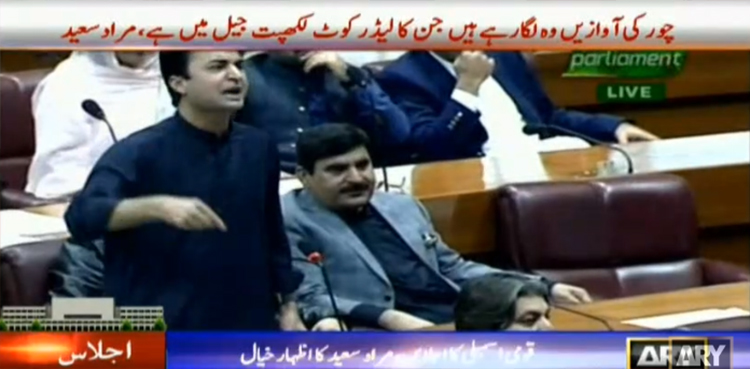 Model Town Carnage, Shehbaz, Rana Sanaullah