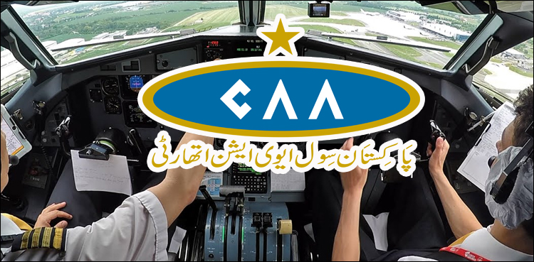 Pilot, CAA, licenses