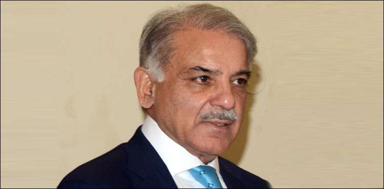 Shehbaz Sharif, Nawaz Sharif, Verdict