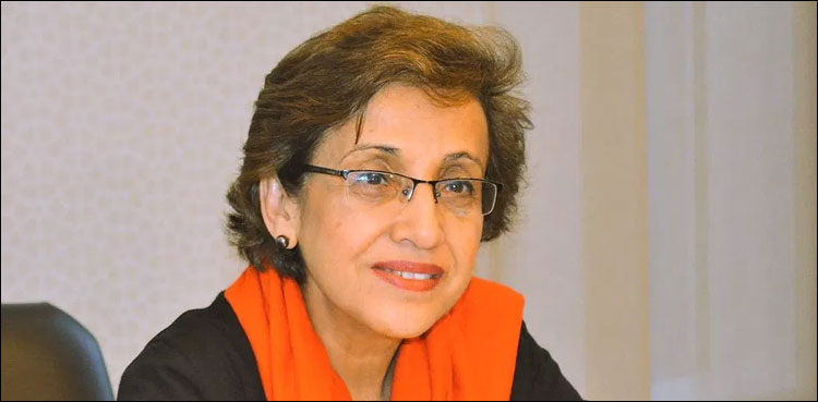Pakistan, talks, Afghanistan, Tehmina Janjua