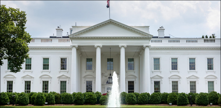 Republicans widen Senate majority after Trump wins White House