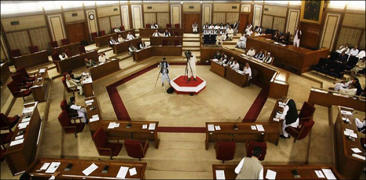 Senate Balochistan Assembly