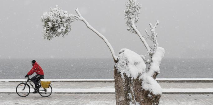 blizzard