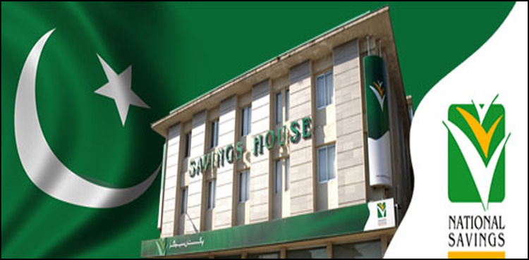 national saving, profit rates
