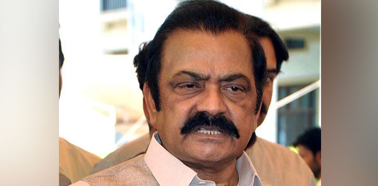 Rana Sanaullah cabinet committee