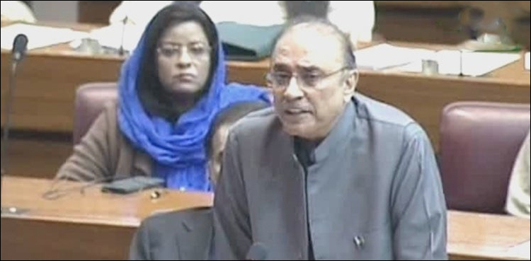 Zardari, Mohammand Dam, Probe