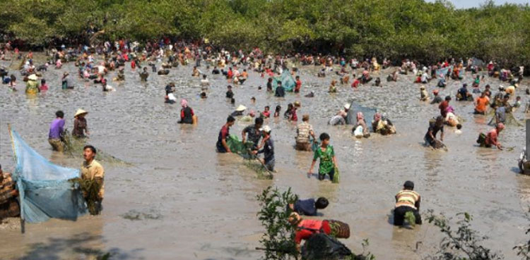Illegal fishing, Punjab ban, Indus River
