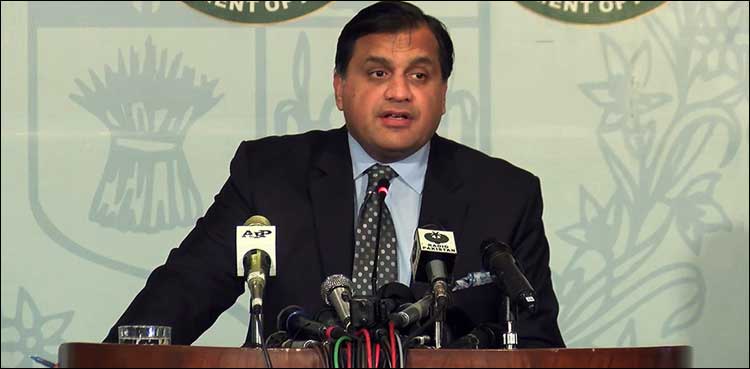 Dr Faisal, Dr Muhammad Faisal, Foreign Office, FO, Pakistan, United Nations, UN, Kashmir, IoK, Kashmiris, Occupied Kashmir