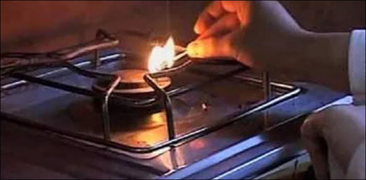 gas crisis, domestic consumers