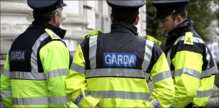 Irish police, firearms