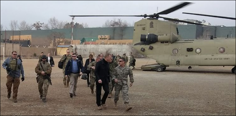 Acting Pentagon chief meets Afghan president