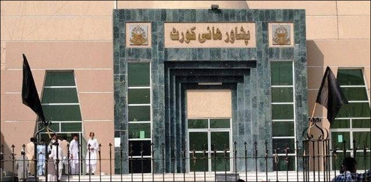 KP courts
