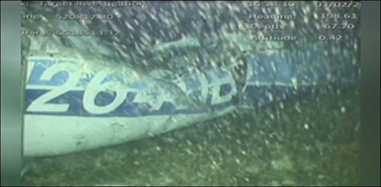 Body, wreckage of plane, footballer, Sala, UK investigator