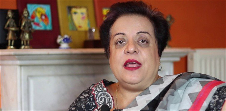 Indian submarine detected, Shireen Mazari, Pakistan-India escalation
