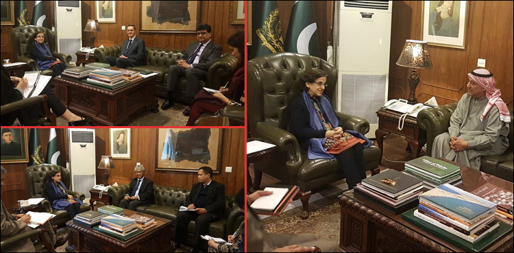 Tehmina Janjua