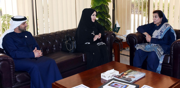Pak-UAE ties