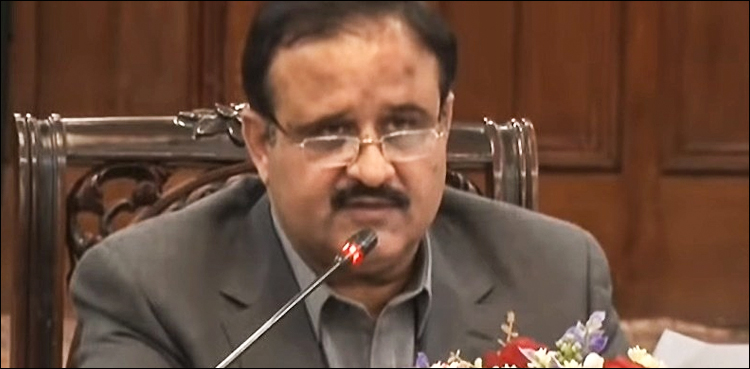 CM Usman Buzdar, Punjab cabnet motorway gang rape Orange Line train