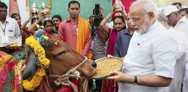 India police, cow vigilantes list, Hindu teen murder