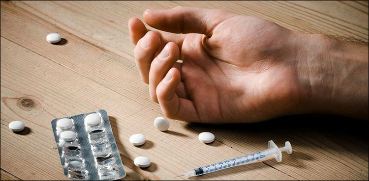 Expert, group meeting, Preventing Drug Abuse,
