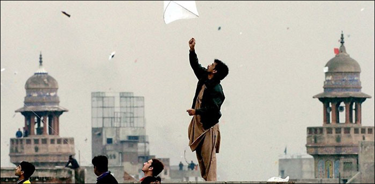 kite ban, Punjab Assembly