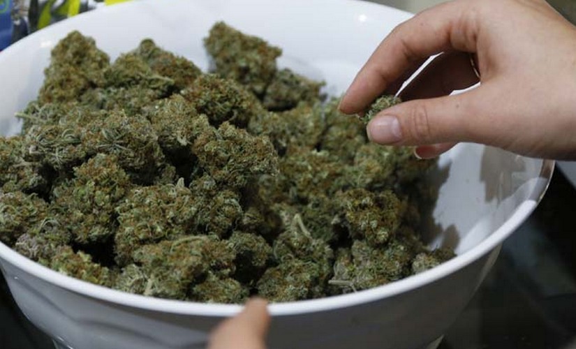 marijuana thailand cannabis