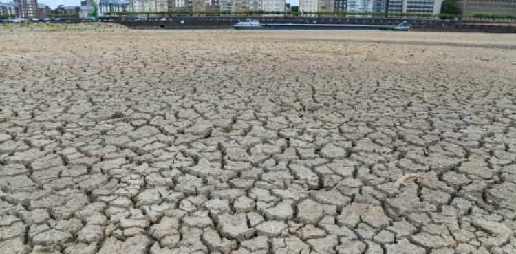 Germany hottest year