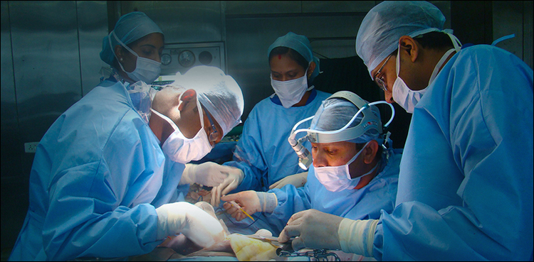 Liver transplant