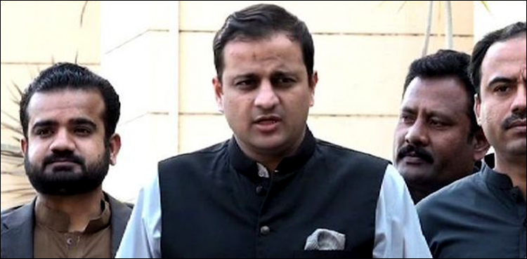 Will conduct Sindh local govt poll after new census, Murtaza Wahab says