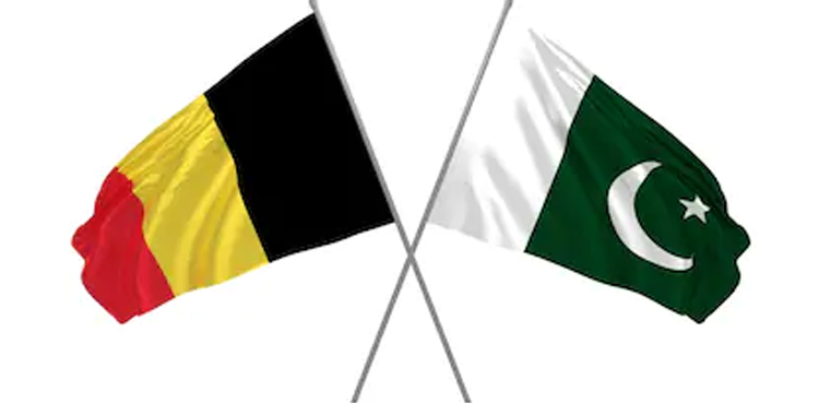 Pakistan Day, Pakistani embassy, Brussels