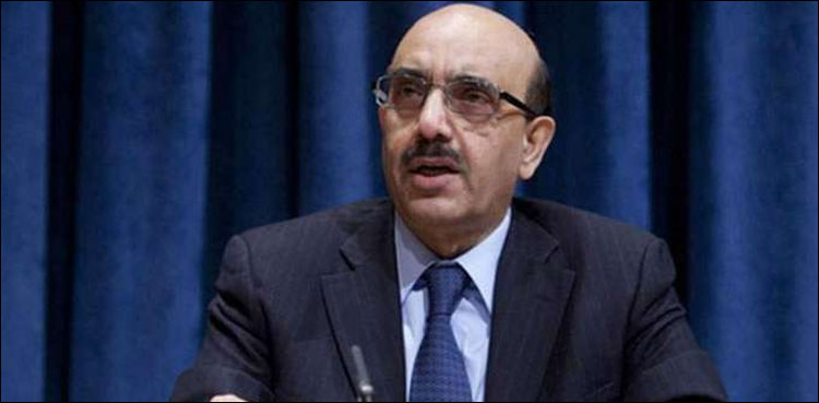 Masood Khan, Kashmir, OIC, Indian
