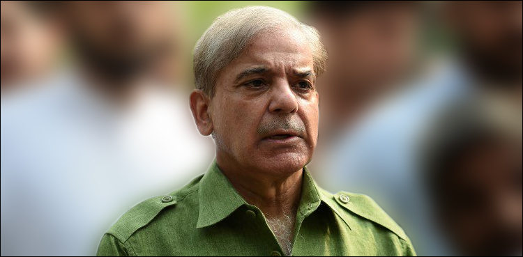 pm shehbaz sharif