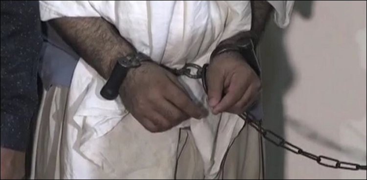 target killer, over 100 murders, mqm founder