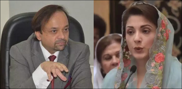 Dr Adnan, Maryam Nawaz, permission, Nawaz Sharif