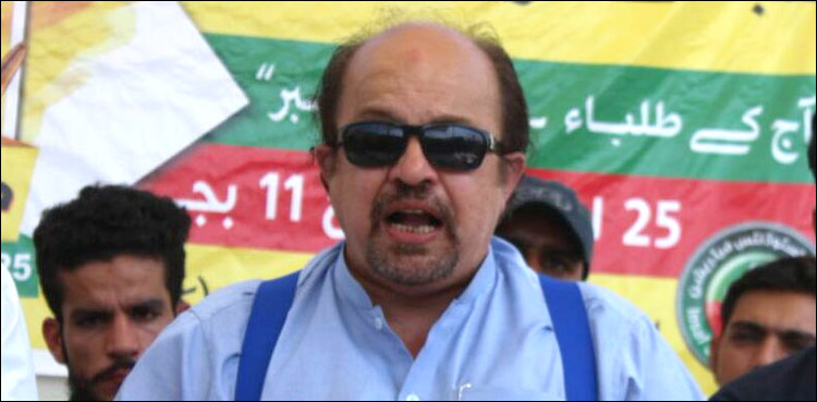 Firdous Shamim, Sindh, governor's rule
