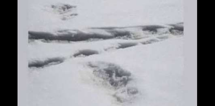 Indian Army Yeti footprint