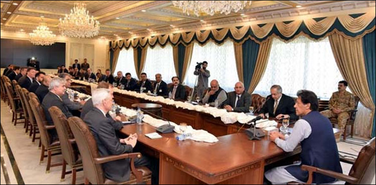 French business delegation, invest, Pakistan