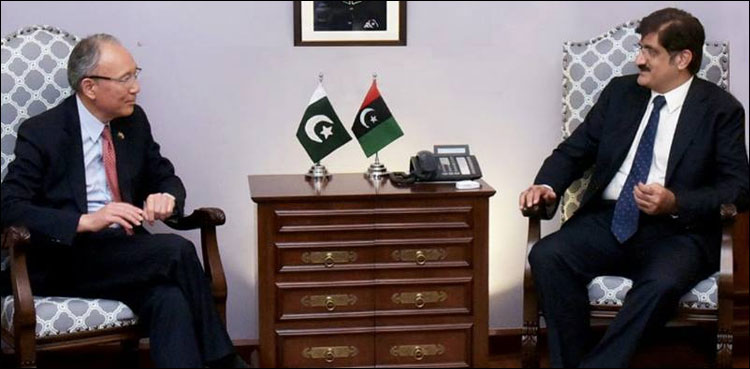Murad Ali Shah, Sindh govt, support, facilities, Japanese investors