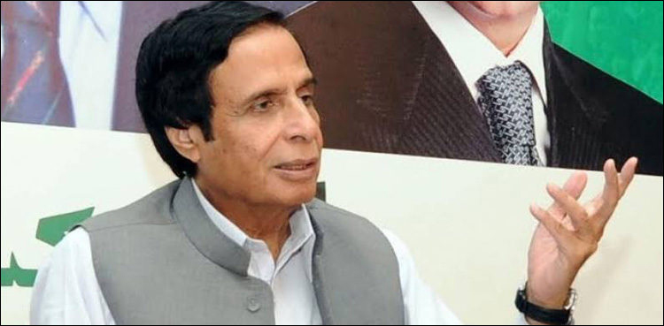 Pervaiz Elahi, Cholistan, lands,