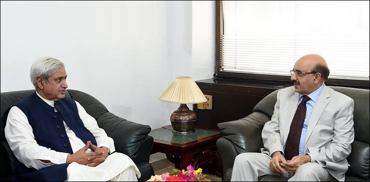 Masood Khan, Pulwama incident, Kashmir conflict, international level, AJK president